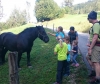 Familienwanderung Bärenalm 2016